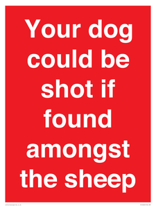 Your dog could be shot if found amongst the sheep